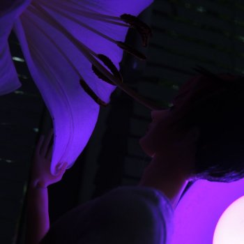 Ночной мотылёк