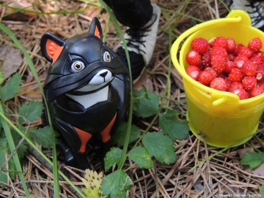 Сами мы люди не местные или sugar rush баленсиага village эдишн (фото 10)