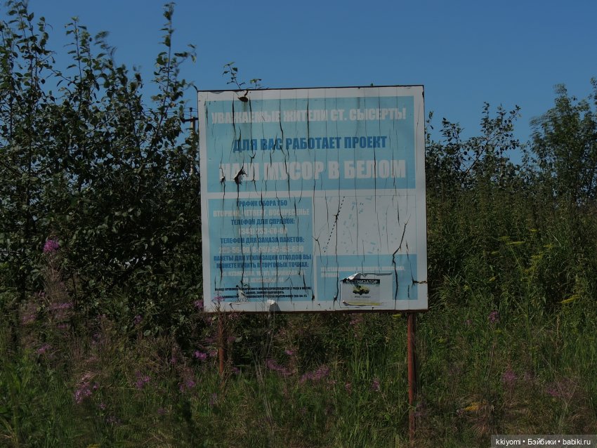 Сами мы люди не местные или sugar rush баленсиага village эдишн (фото 3)