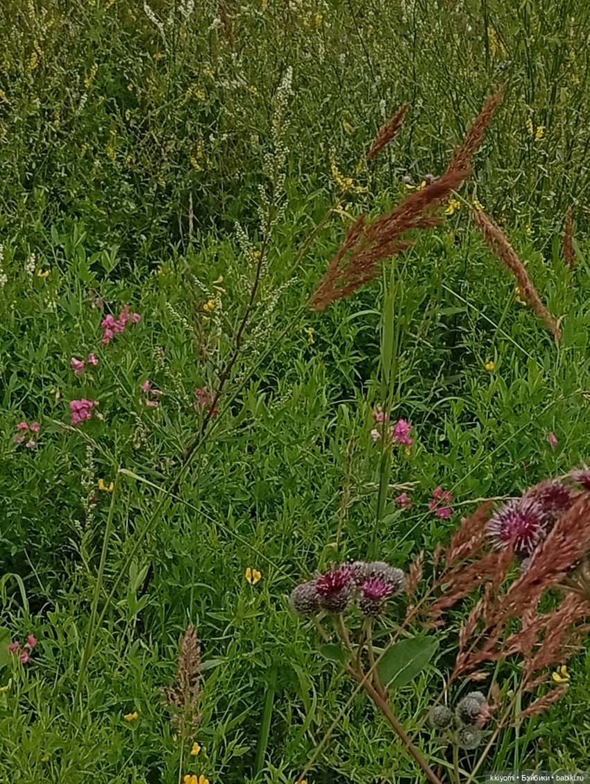 #I💜Aramil' или чемодан, вокзал и тапки по почте