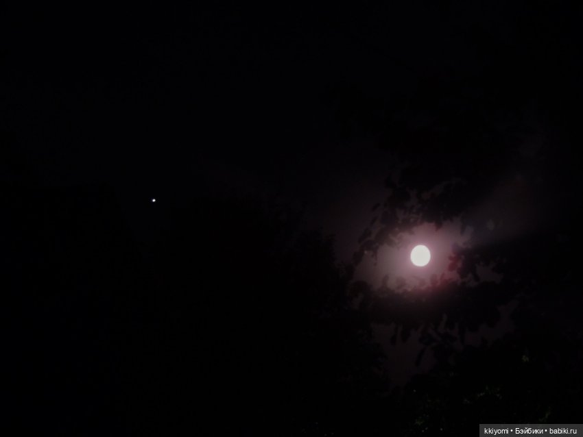 Бездомный Чусок или Праздник середины осени на коленке🍁🍂🥮🌕🐰 (фото 8)