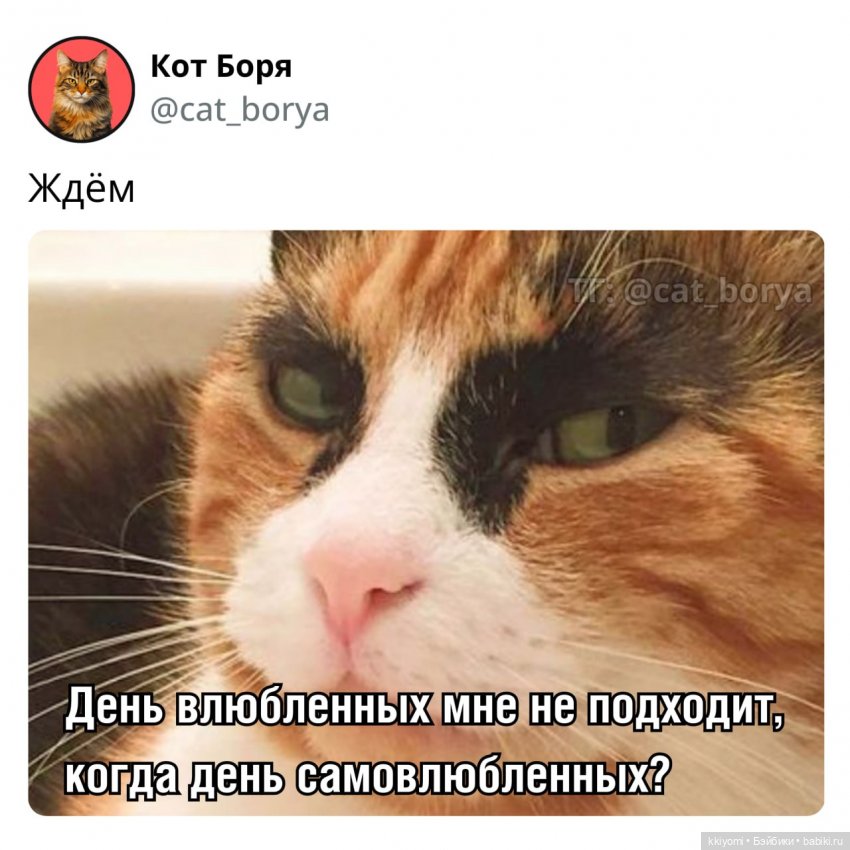 Сеульские кукловстречи и что я там опять нахомячила:3 (фото 5)