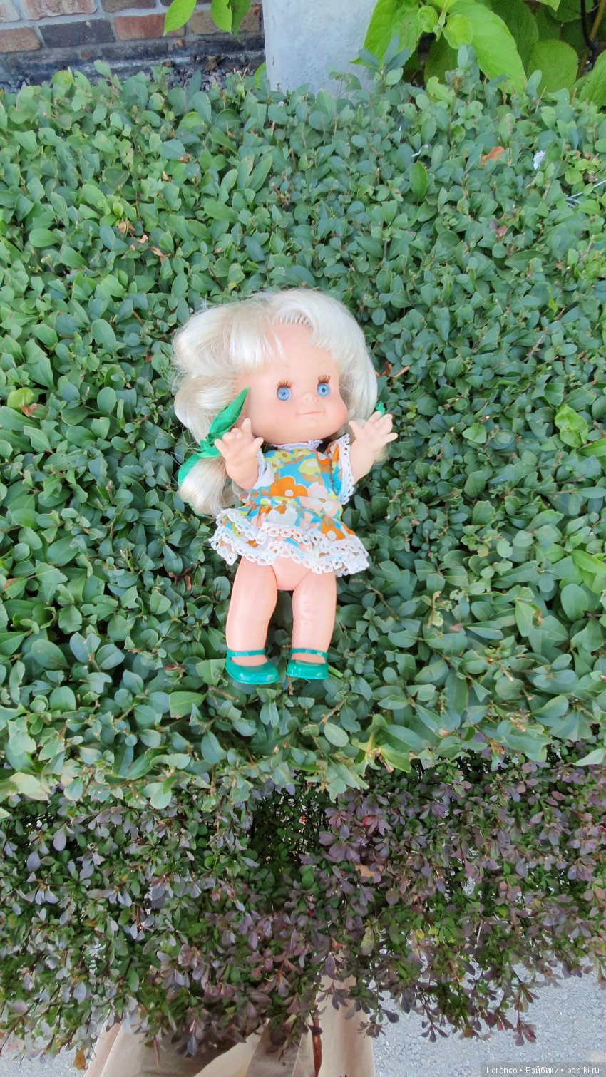 Знакомьтесь, мои Красотки