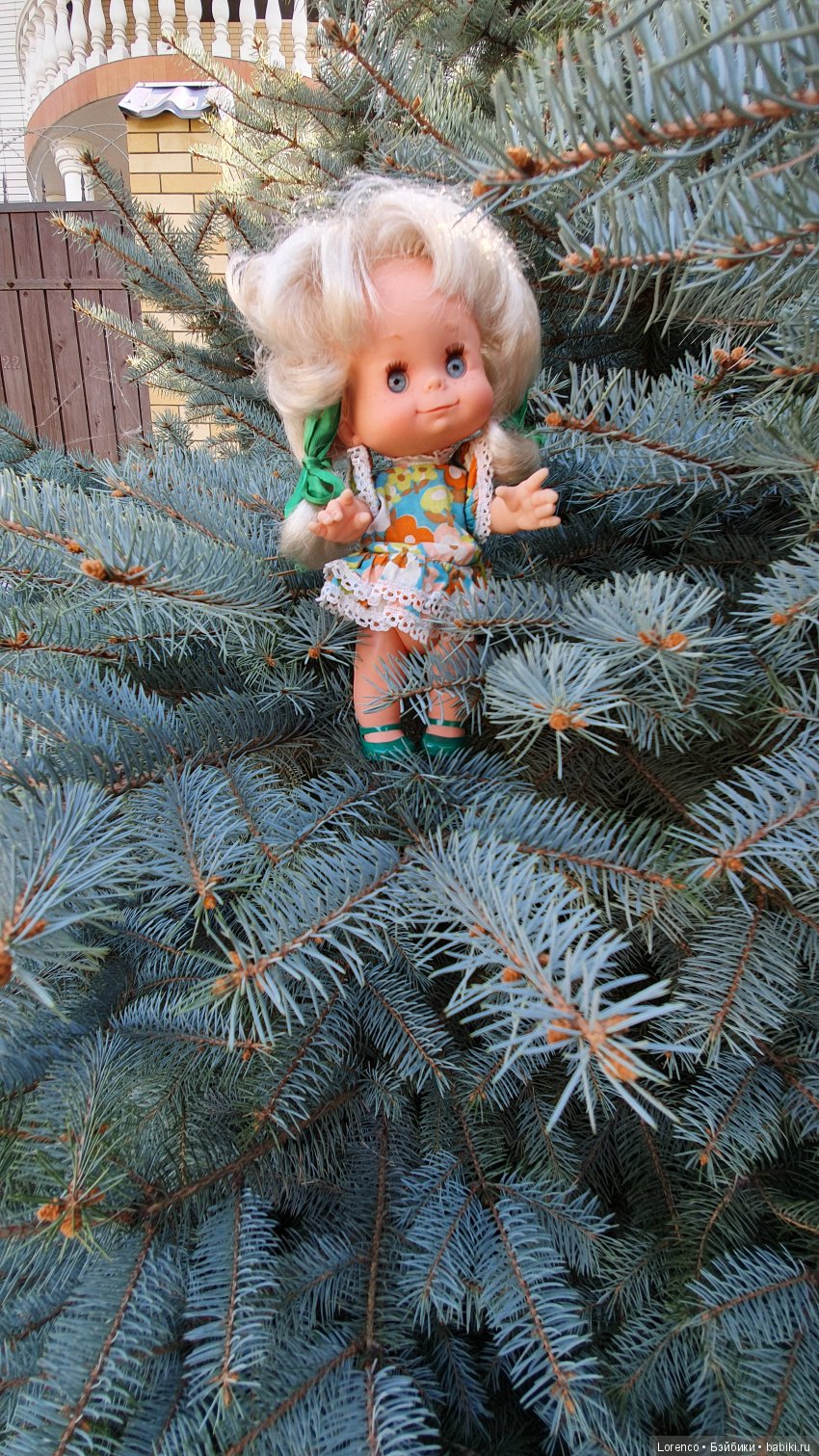 Знакомьтесь, мои Красотки