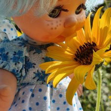 Знакомьтесь, мои Красотки