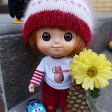 Новое место жительства для Мики