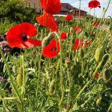 Хороший день