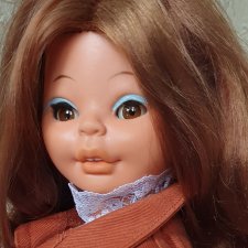 Бриджит (восстановление)