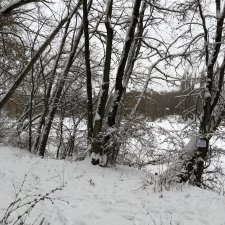 Зимние наброски