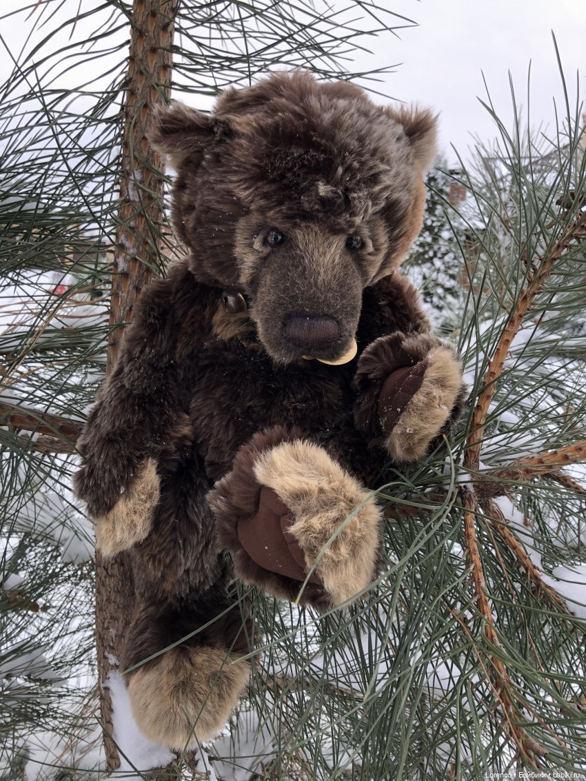 Медведи в моей коллекции — Плюшевые мишки и игрушки (Teddy Bear): винтаж