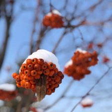 К нам Зима вернулась