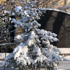 Зима в «Простоквашино»