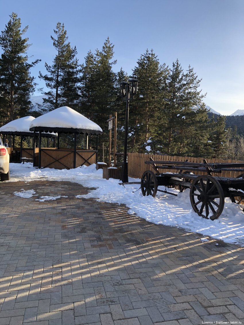 Прогулка в Архыз — Авторские мишки Тедди и друзья: фото (фото 5)