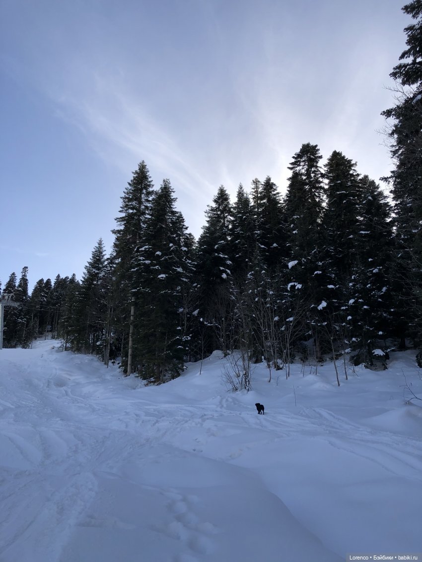 Прогулка в Архыз — Авторские мишки Тедди и друзья: фото (фото 6)