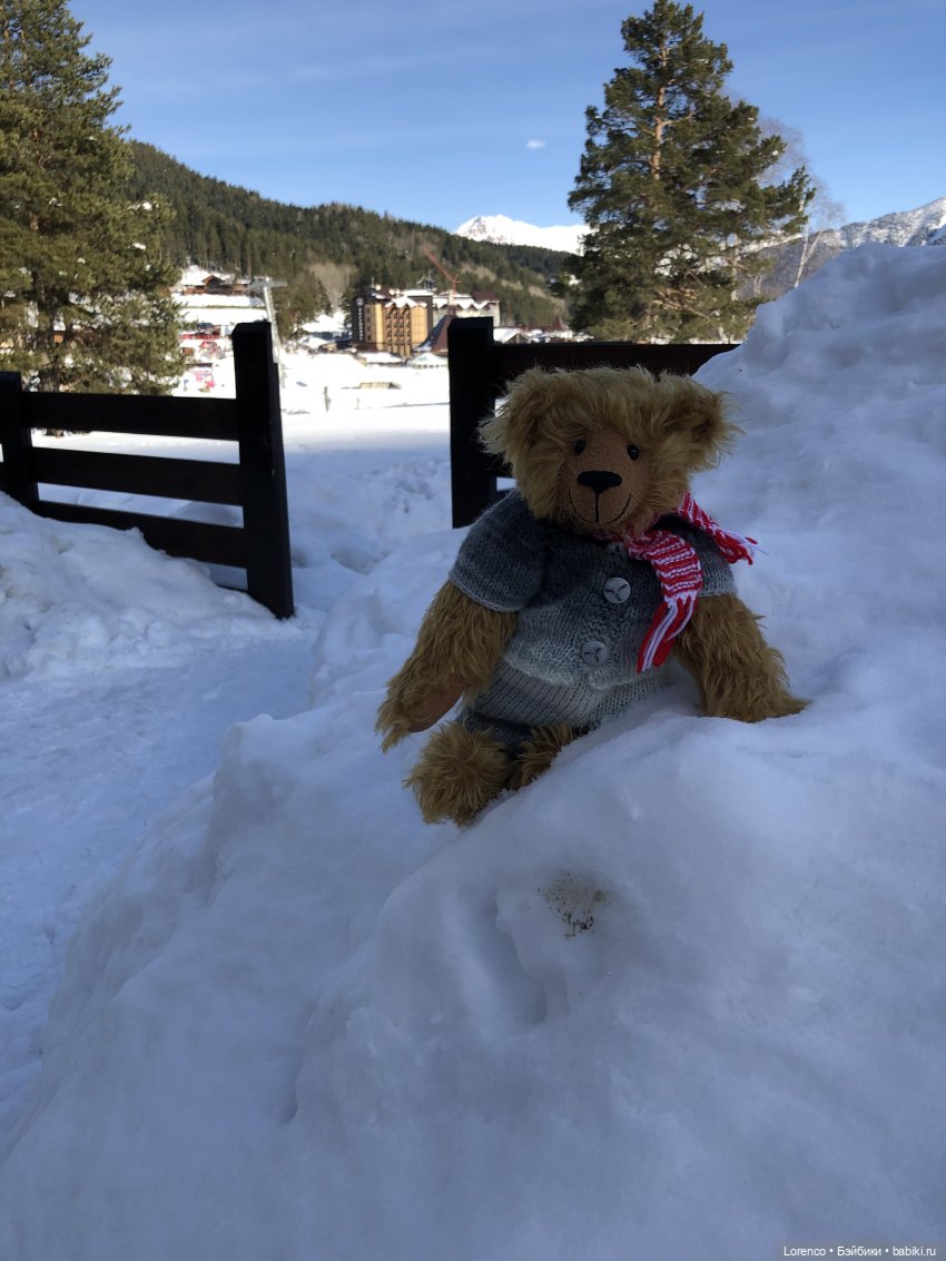 Прогулка в Архыз — Авторские мишки Тедди и друзья: фото (фото 4)