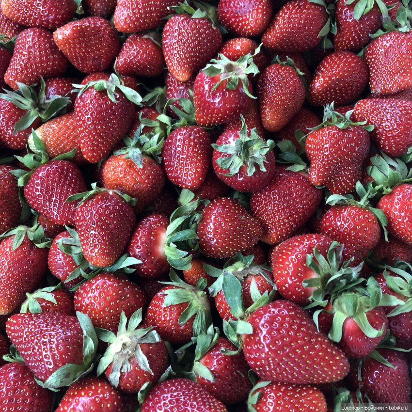 А где же ежик? Не про куклы или топик на злобу дня | Бэйбики А где же ежик? Не про куклы или топик на злобу дня (фото 8)