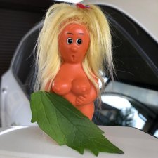 Мои интересные и необычные