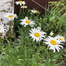 Летний спам