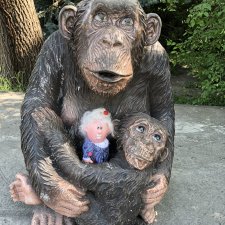 Прогулка в Ростовском зоопарке