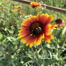 Запах осени