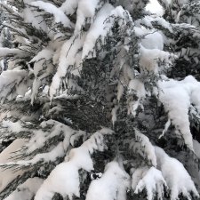 Просто наступила зима. Дворовые пейзажи