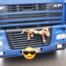 Недоброе утро кота Бекона