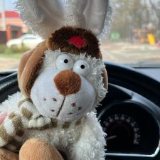 Мартовский заяц