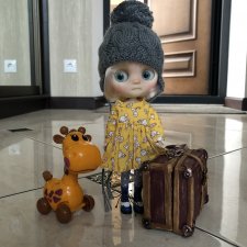 Дождливый день и новые постояльцы