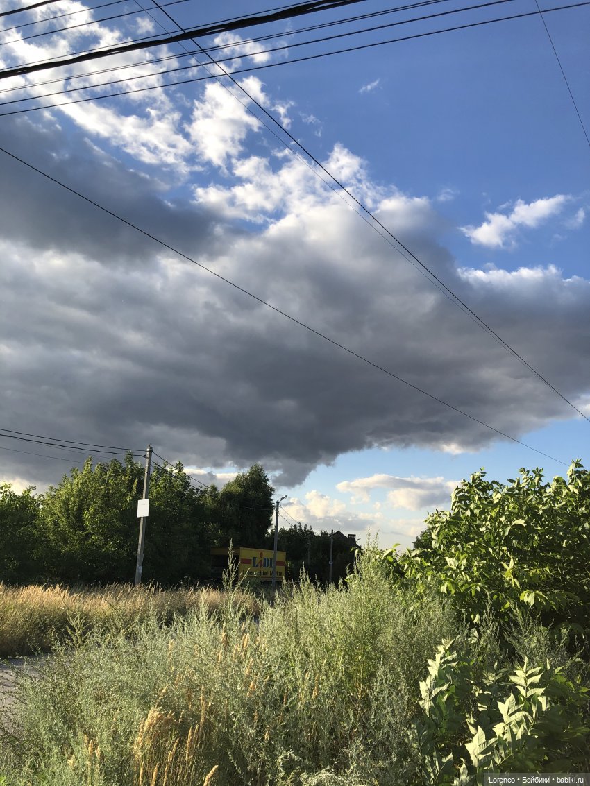 Камышевахская жизня - 1 — Куклы Nines d'Onil (Нинес): Миа (Mia)