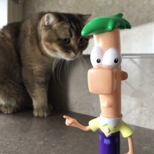 Нравоучения от Ферба