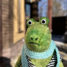 Домик для жабика