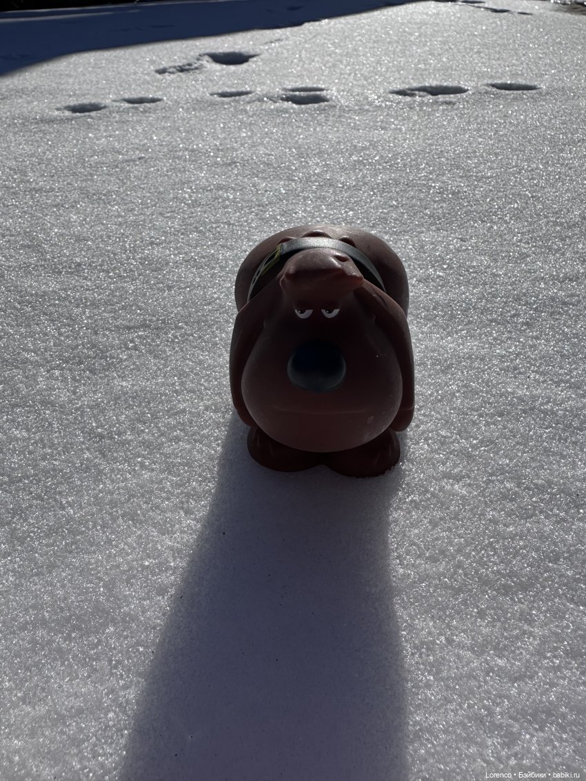 Дюк, бидончик и двое непослушных ребят (фото 3)