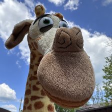 Мэлман Мадагаскарский