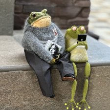 Такие разные лягухи