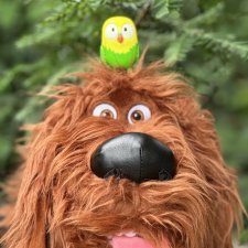 Тайная жизнь моих питомцев