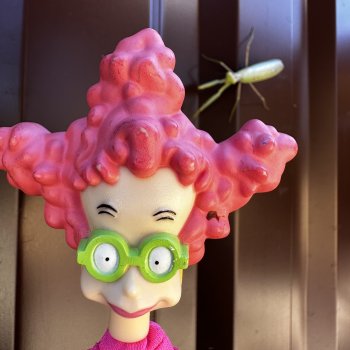 Диана Керпактер-Кропоткина Пиклз (Диди)