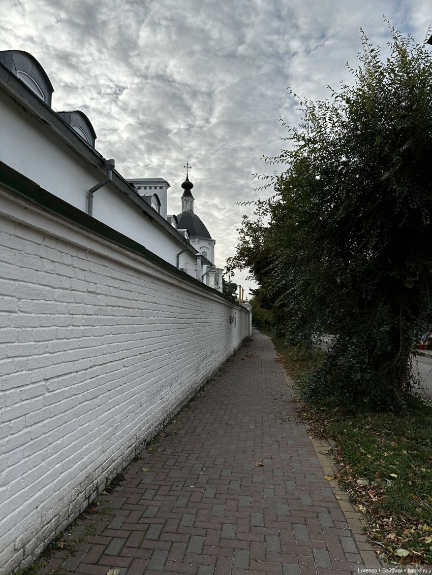 Станица Старочеркасская — Винтажные куклы ГДР (Немки): Бигги (фото 3)