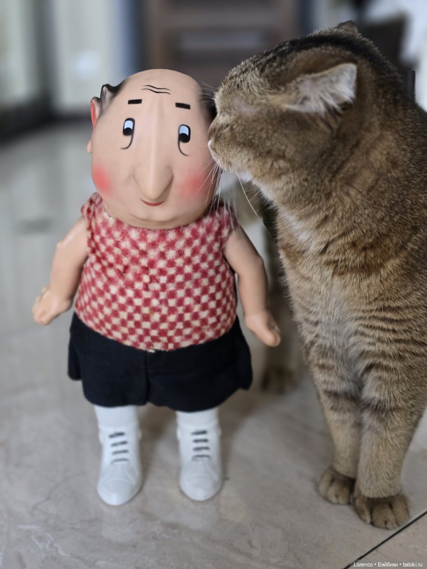 Сама себе удивляюсь порой (фото 4)