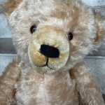 Медведь ГДР