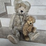 Медведь Германия