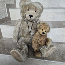 Медведь Германия