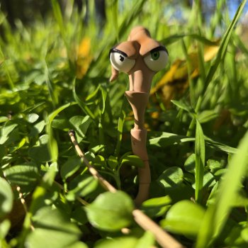 Заноябрило 2025