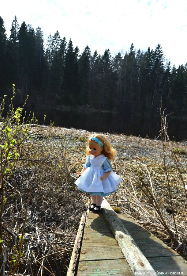 Приключения американок в России или Алиса в Стране чудес и немного про Набокова