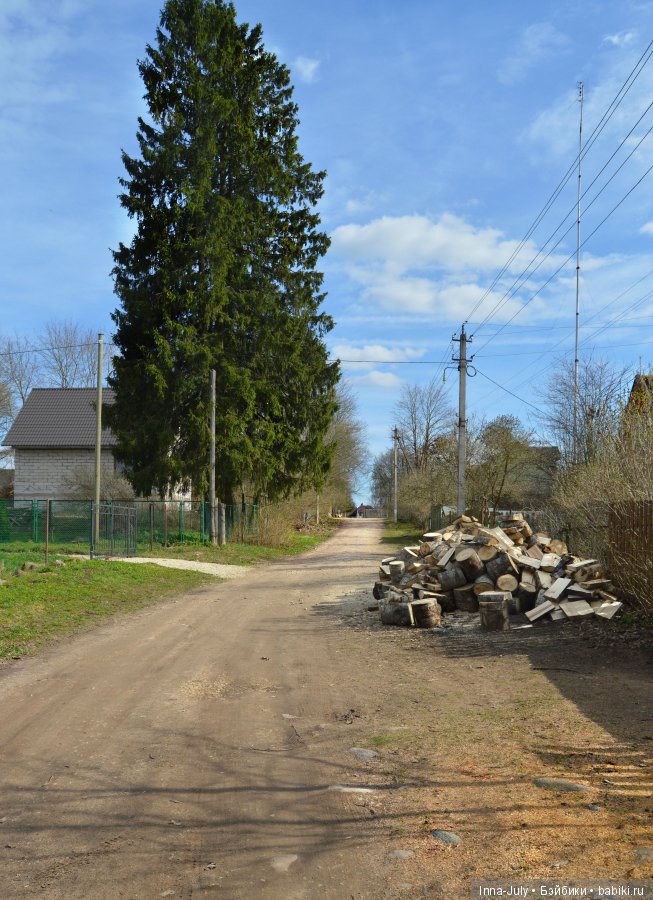 Приключения американок в России или Алиса в Стране чудес и немного про Набокова