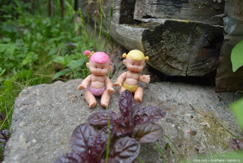 Маленькая компания в деревне (фото 9)