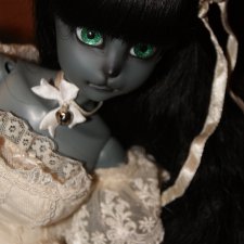 Кошкин Дом. Новая жительница. Укрощение когтистой