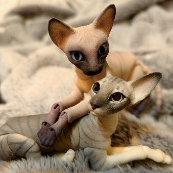 Любовь, кусь и котики