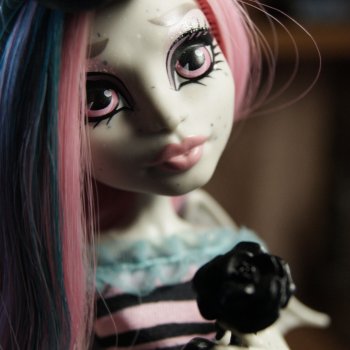 Номер 6. Рошель.