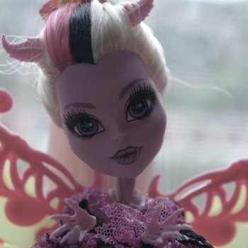 Номер 12. Бонита.