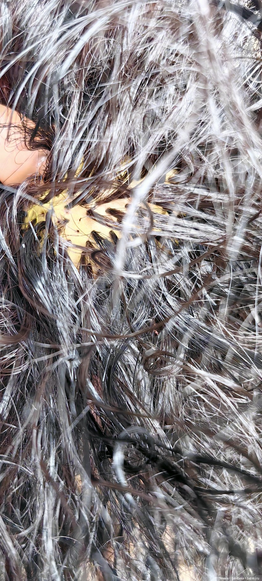 Восстановление. Клаудия — Куклы Monster High и Ever After High: G1